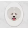 Bichon a poil frise, Bichon Frise, Bichon Tenerife - une plaque avec une photo et un motif géométrique de la marque Art-Dog