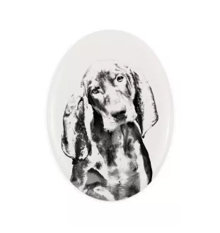 Black and Tan Coonhound - commemorative plaque with a photo of a dog, tombstone with a print, personalized oval plaque from the Art-Dog brand