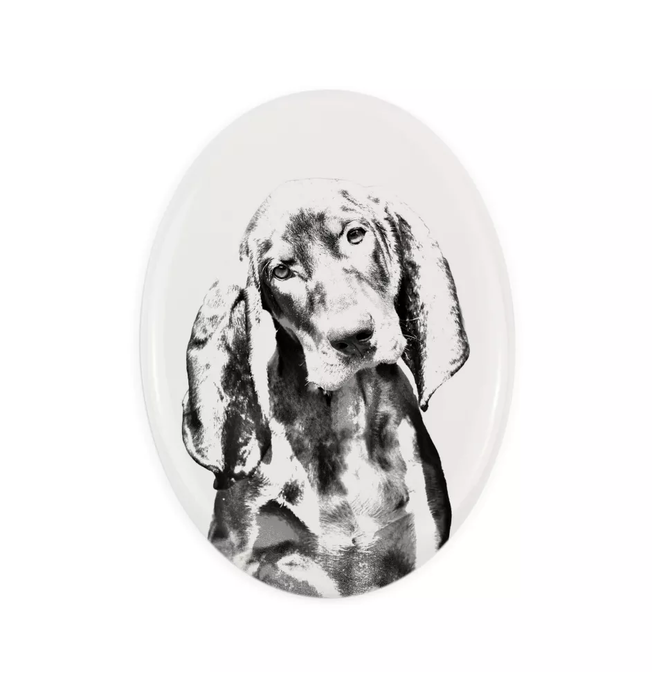 Schwarz-Lohfarbener Waschbärenhund, Black and Tan Coonhound - Gedenktafel mit einem Foto eines Hundes, Grabplatte mit Druck, personalisierte ovale Platte der Marke Art-Dog