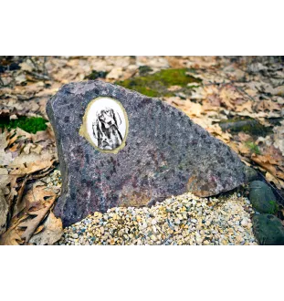 Black and tan coonhound płyta nagrobna ze zdjęciem psa Art-Dog