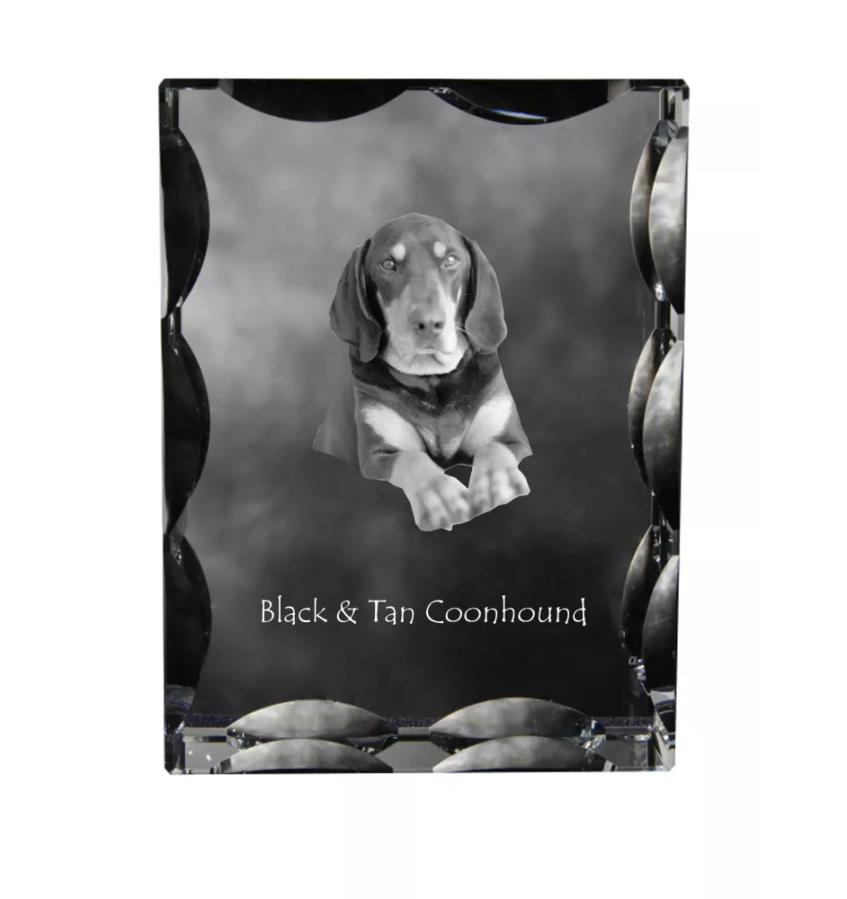 Chien noir et feu pour la chasse au raton laveur I - cristal avec photo de chien, statuette en verre avec photo, cadre exceptionnel avec photo de la marque Art-Dog