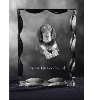 Schwarz-Lohfarbener Waschbärenhund, Black and Tan Coonhound I - Kristall mit einem Hundebild, Glasstatuette mit einem Bild, einzigartiger Bilderrahmen der Marke Art-Dog
