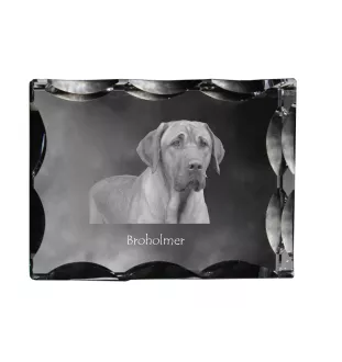 Black and Tan Coonhound - crystal with a picture of a dog, glass statuette with a picture, unique frame with a picture from Art-Dog brand