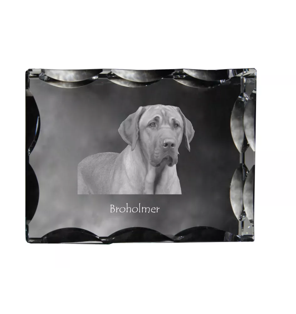 Schwarz-Lohfarbener Waschbärenhund, Black and Tan Coonhound - Kristall mit einem Hundebild, Glasstatuette mit einem Bild, einzigartiger Bilderrahmen der Marke Art-Dog