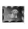 Black and Tan Coonhound - crystal with a picture of a dog, glass statuette with a picture, unique frame with a picture from Art-Dog brand