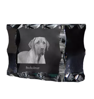 Black and Tan Coonhound - crystal with a picture of a dog, glass statuette with a picture, unique frame with a picture from Art-Dog brand