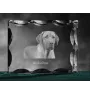 Black and Tan Coonhound - crystal with a picture of a dog, glass statuette with a picture, unique frame with a picture from Art-Dog brand