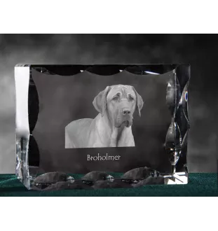 Schwarz-Lohfarbener Waschbärenhund, Black and Tan Coonhound - Kristall mit einem Hundebild, Glasstatuette mit einem Bild, einzigartiger Bilderrahmen der Marke Art-Dog