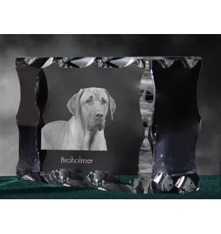 Schwarz-Lohfarbener Waschbärenhund, Black and Tan Coonhound - Kristall mit einem Hundebild, Glasstatuette mit einem Bild, einzigartiger Bilderrahmen der Marke Art-Dog