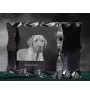 Black and Tan Coonhound - crystal with a picture of a dog, glass statuette with a picture, unique frame with a picture from Art-Dog brand