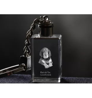 Schwarz-Lohfarbener Waschbärenhund, Black and Tan Coonhound I - Schlüsselanhänger aus Kristall mit Hundefoto, beleuchteter Schlüsselanhänger, einzigartiges Geschenk der Marke Art-Dog