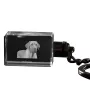 Black and Tan Coonhound - Crystal key ring with dog photo, illuminated key ring, unique gift by Art-Dog brand