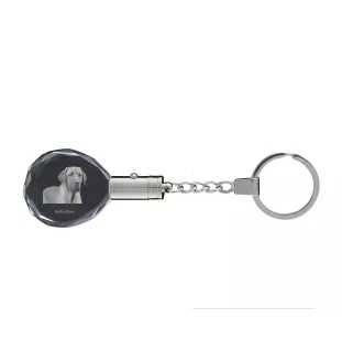 Chien noir et feu pour la chasse au raton laveur - pendentif avec une photo de chien, porte-clés en cristal dans une boîte cadeau, un cadeau unique par Art-Dog