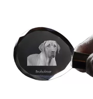 Black and Tan Coonhound - pendant with a photo of a dog, crystal key ring in a gift box, a unique gift by Art-Dog