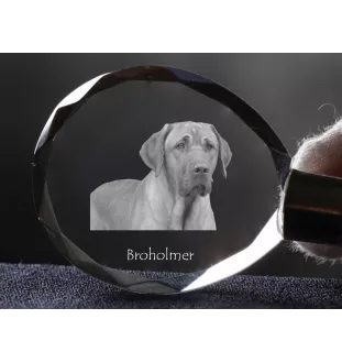 Black and Tan Coonhound - pendant with a photo of a dog, crystal key ring in a gift box, a unique gift by Art-Dog