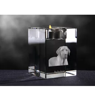 Black and tan coonhound świecznik kryształowy z psem Art-Dog