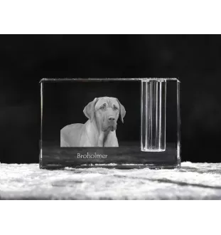 Schwarz-Lohfarbener Waschbärenhund, Black and Tan Coonhound - Stifthalter, Kristallorganizer mit Hundefoto, einzigartige Schreibtischdekoration der Marke Art-Dog