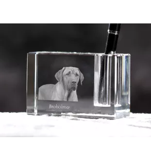 Black and Tan Coonhound - Pen stand, crystal organiser with dog photo, unique desk decoration by Art-Dog brand