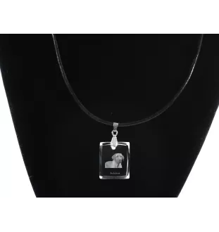 Black and Tan Coonhound - Crystal dog pendant, photo necklace, unique jewellery by Art-Dog