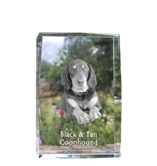 Black and Tan Coonhound I - crystal with a picture of a dog, photo in glass, modern exhibition of Art-Dog brand photo