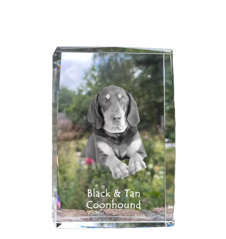 Schwarz-Lohfarbener Waschbärenhund, Black and Tan Coonhound I - Kristall mit einem Hundebild, Bild im Glas, moderne Ausstellung des Art-Dog-Bildes.