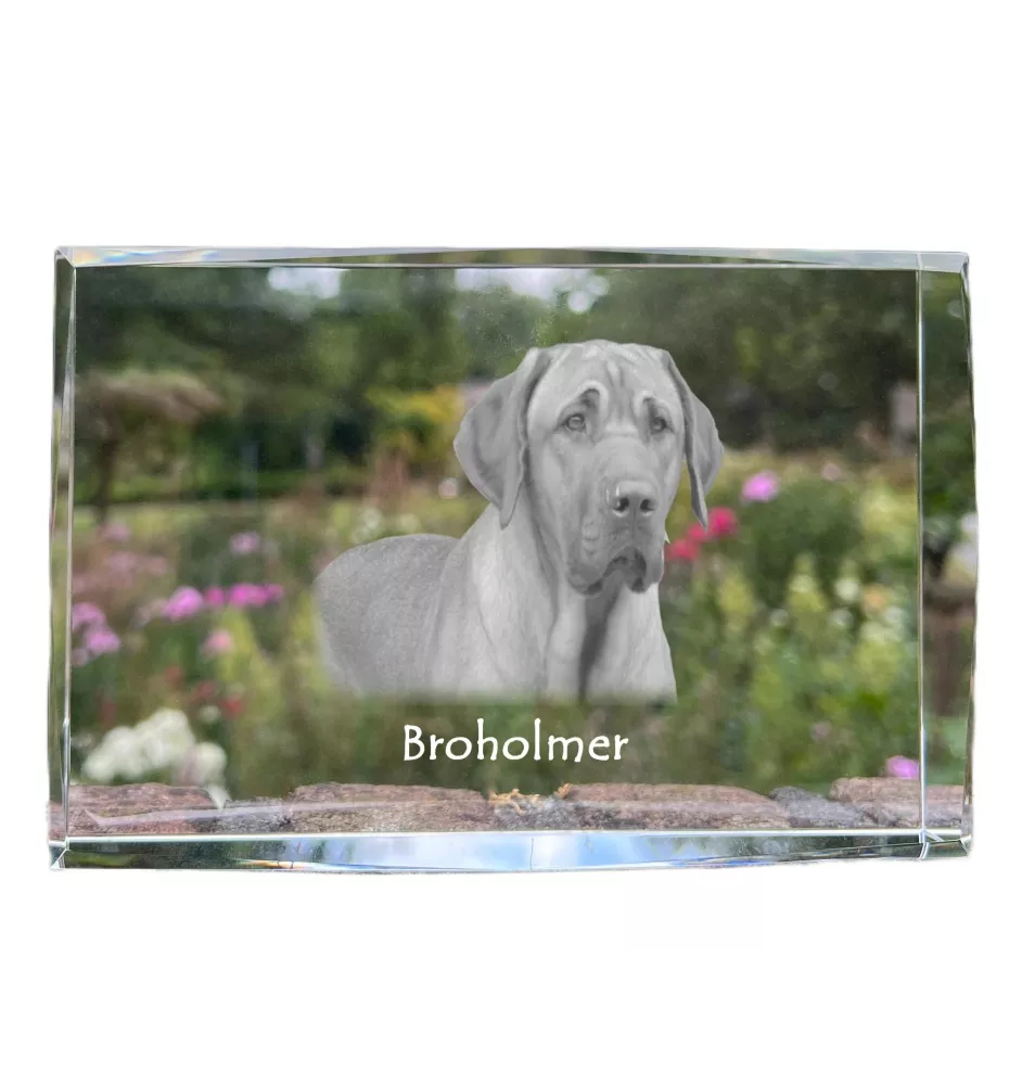 Schwarz-Lohfarbener Waschbärenhund, Black and Tan Coonhound - Kristall mit einem Hundebild, Bild im Glas, moderne Ausstellung des Art-Dog-Bildes.