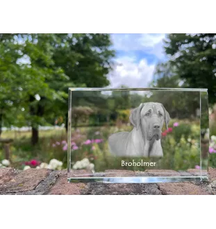 Schwarz-Lohfarbener Waschbärenhund, Black and Tan Coonhound - Kristall mit einem Hundebild, Bild im Glas, moderne Ausstellung des Art-Dog-Bildes.