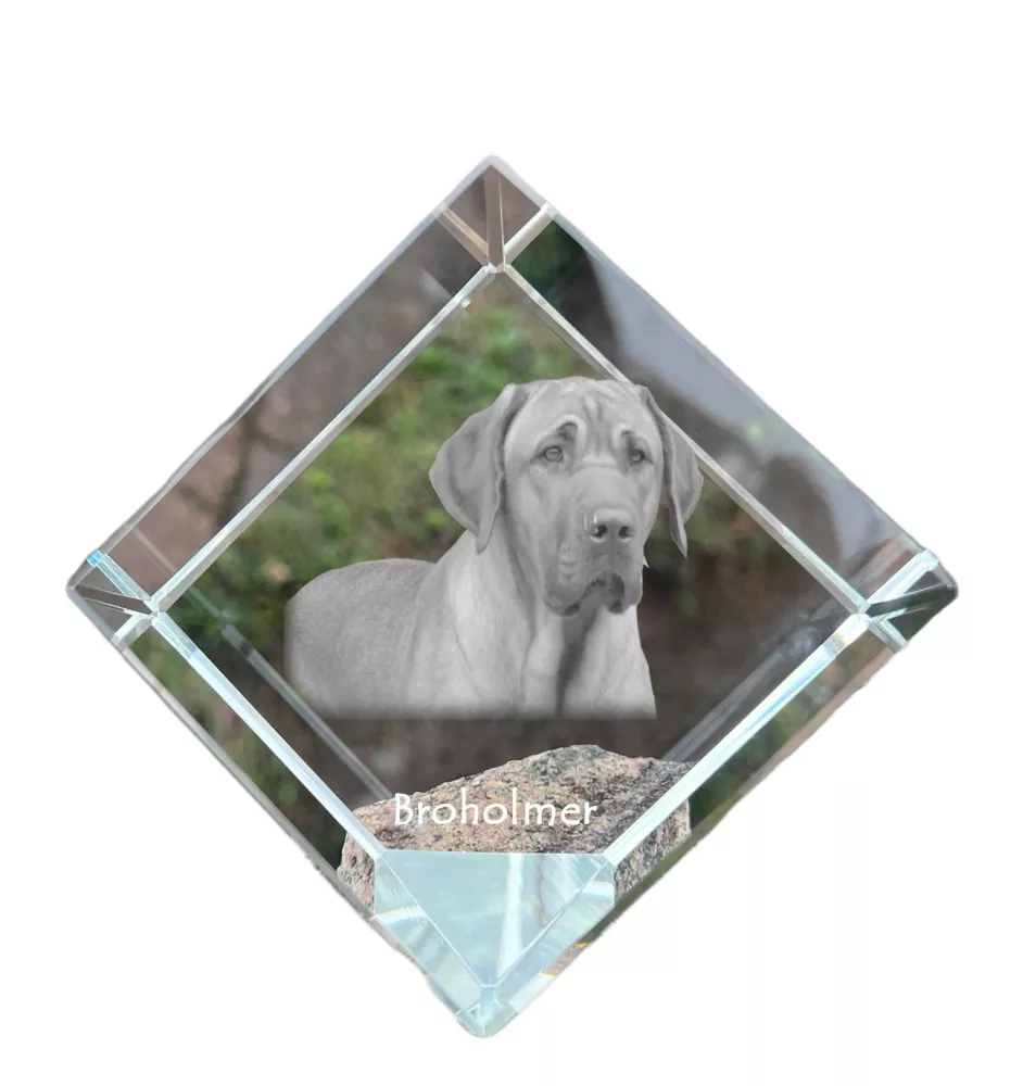 Black and Tan Coonhound - crystal cube with a photo, photo of a horse in crystal, cubic paperweight from Art-Dog brand