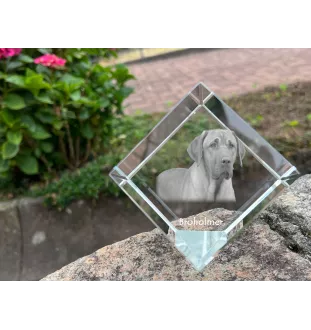 Chien noir et feu pour la chasse au raton laveur - un cube de cristal avec une photo, une photo de cheval dans le cristal, un presse-papiers cubique de la marque Art-Dog