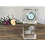 Chien noir et feu pour la chasse au raton laveur - montre en cristal avec photo, photo de chien dans un cristal, horloge de bureau personnalisée de la marque Art-Dog