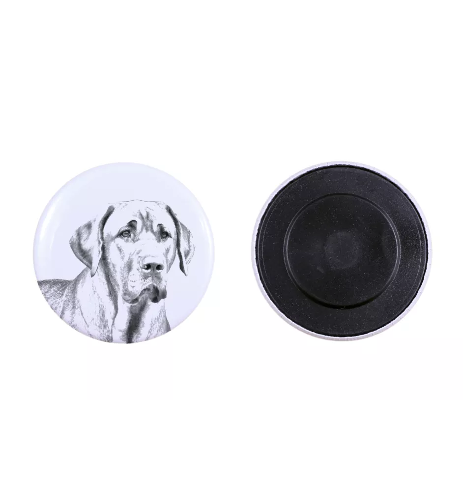 Black and Tan Coonhound - magnet with a dog's pupil, exceptionally light, strong magnet, handmade product by the Art-Dog brand