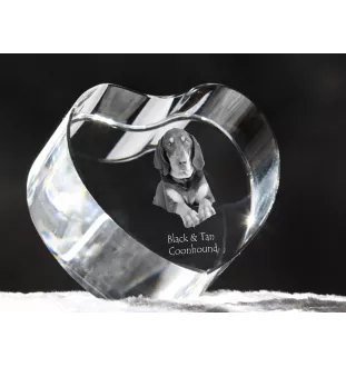 Black and Tan Coonhound I - a photo of a dog in crystal, crystal heart, unique photo frame from the Art-Dog brand