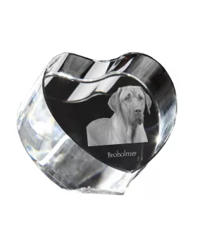 Black and Tan Coonhound - a photo of a dog in crystal, crystal heart, unique photo frame from the Art-Dog brand