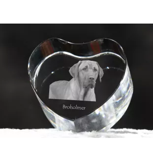 Black and Tan Coonhound - a photo of a dog in crystal, crystal heart, unique photo frame from the Art-Dog brand