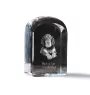 Black and Tan Coonhound I - crystal cube with a photo, photo of a dog in crystal, cubic paperweight from Art-Dog brand