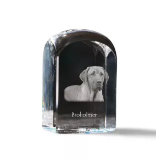 Black and Tan Coonhound - crystal cube with a photo, photo of a dog in crystal, cubic paperweight from Art-Dog brand