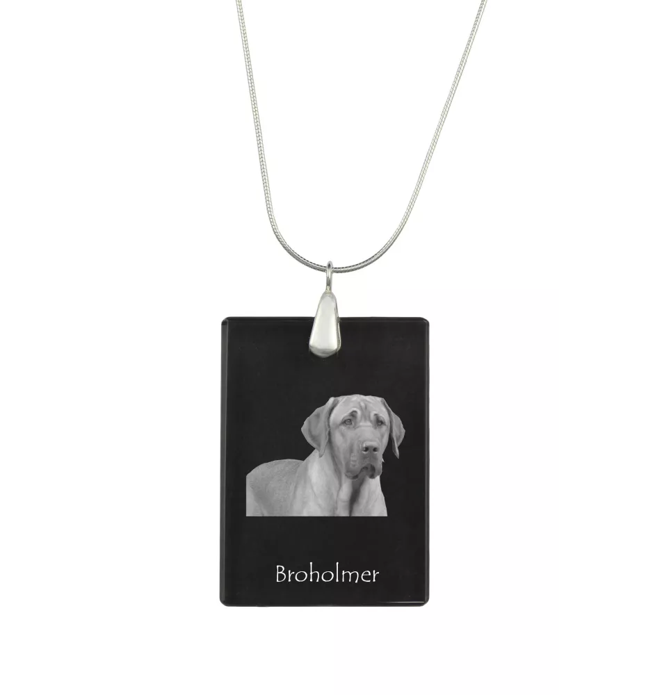 Schwarz-Lohfarbener Waschbärenhund, Black and Tan Coonhound - Kristallanhänger mit Hund, Silberhalskette mit Foto, personalisierter Anhänger der Marke Art-Dog