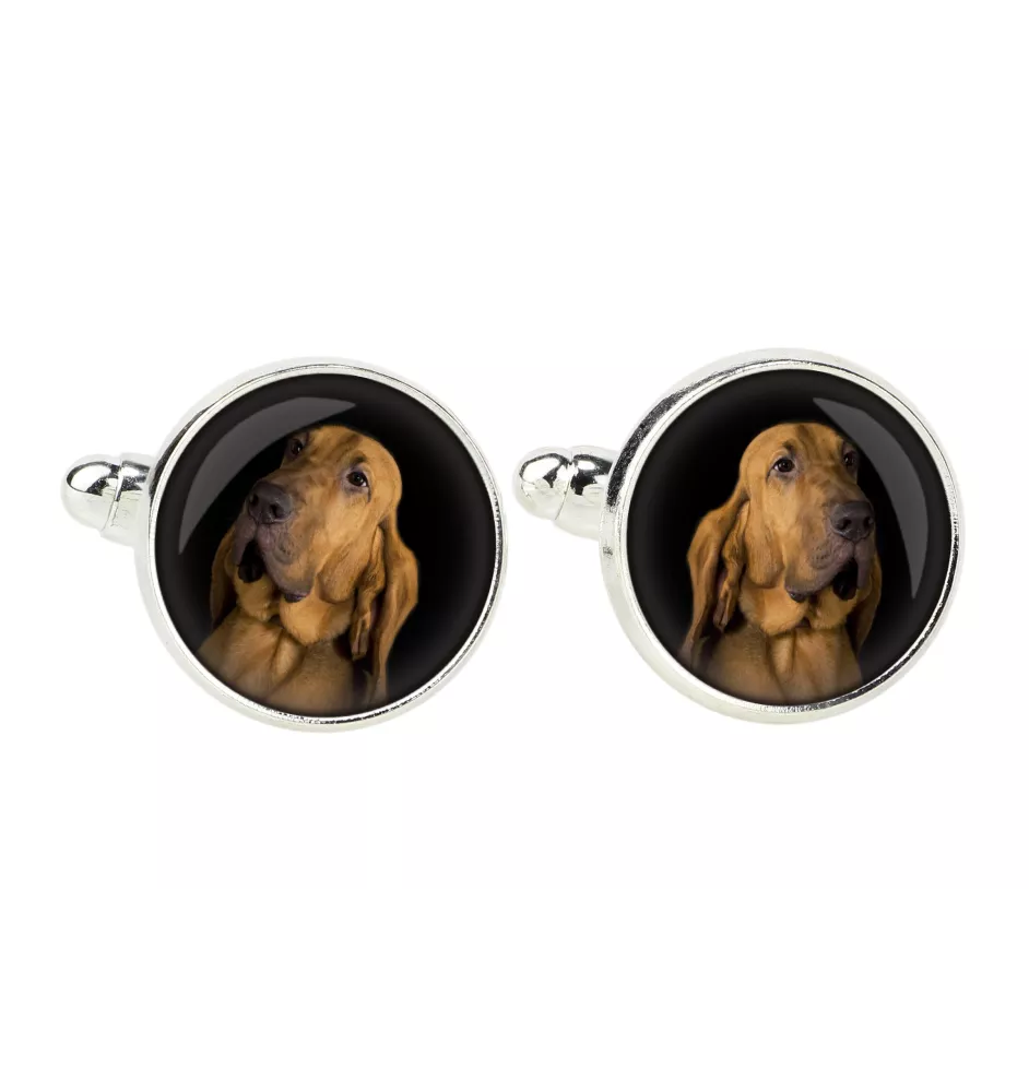 Bloodhound, St. Hubert Hound, Sleuth-hound - cufflinks, a shirt accessory, a shirt pendant from the Art-Dog brand