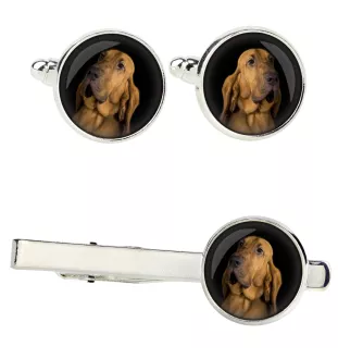 Bloodhound zestaw spinek w pudełku ze zdjęciem Art-Dog
