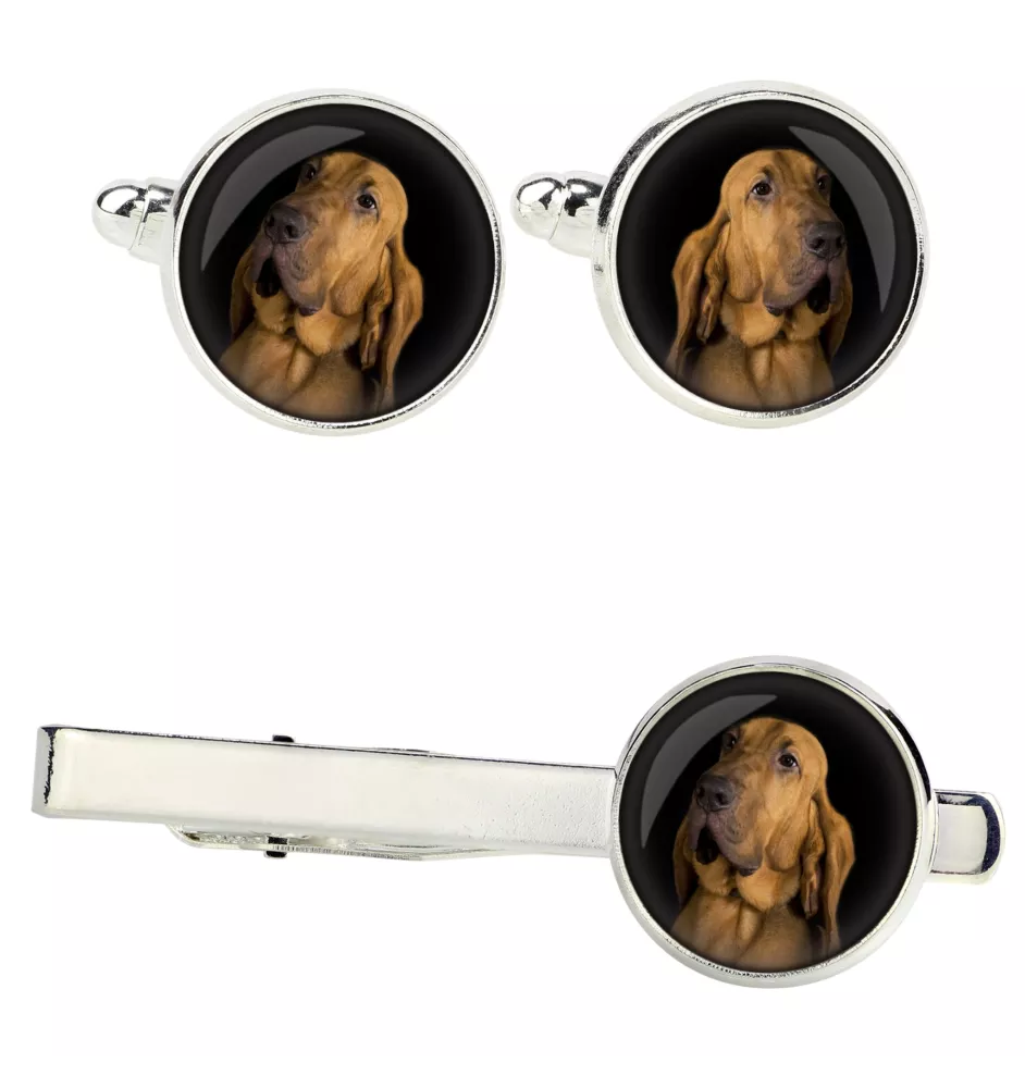 Bloodhound zestaw spinek w pudełku ze zdjęciem Art-Dog