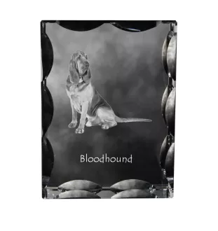 Bluthund, Bloodhound, Chien de St Hubert - Kristall mit einem Hundebild, Glasstatuette mit einem Bild, einzigartiger Bilderrahmen der Marke Art-Dog
