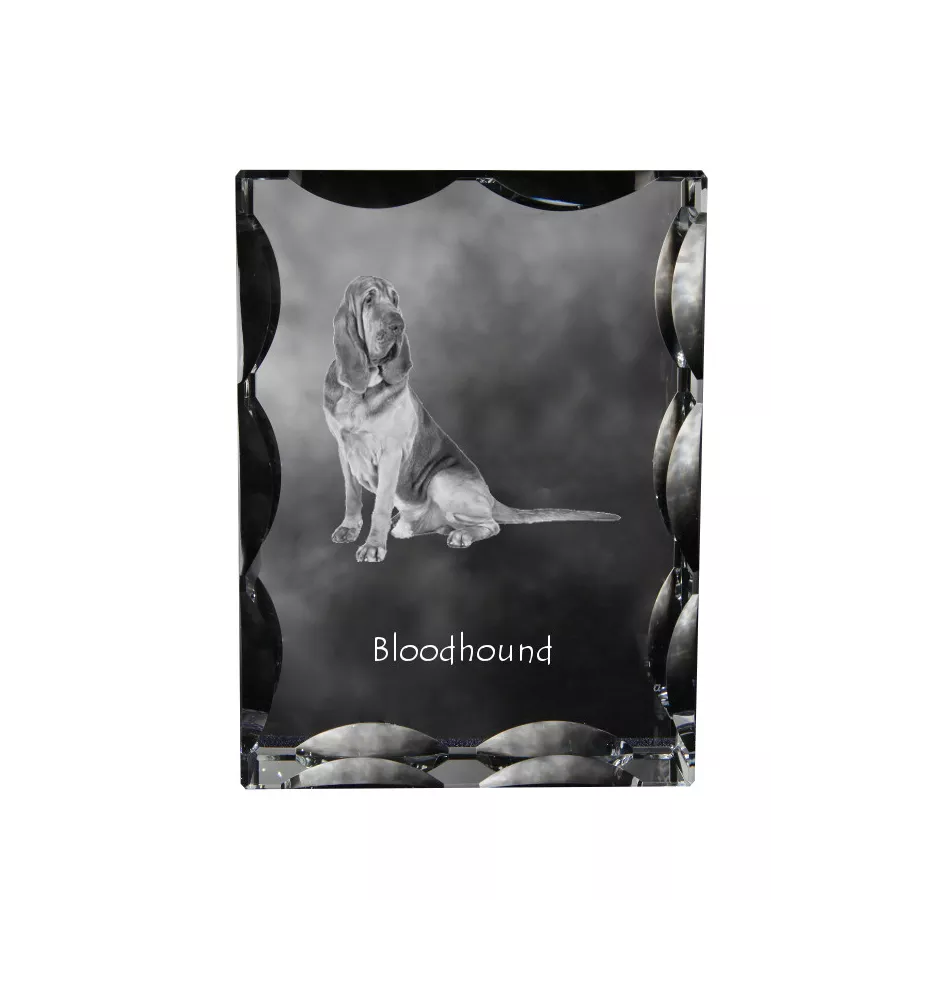 Bloodhound, St. Hubert Hound, Sleuth-hound - crystal with a picture of a dog, glass statuette with a picture, unique frame with a picture from Art-Dog brand