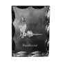 Chien de Saint Hubert, Bloodhound - cristal avec photo de chien, statuette en verre avec photo, cadre exceptionnel avec photo de la marque Art-Dog