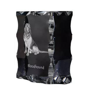 Bluthund, Bloodhound, Chien de St Hubert - Kristall mit einem Hundebild, Glasstatuette mit einem Bild, einzigartiger Bilderrahmen der Marke Art-Dog