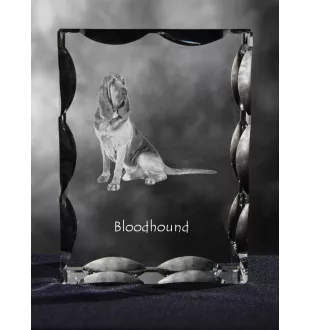 Chien de Saint Hubert, Bloodhound - cristal avec photo de chien, statuette en verre avec photo, cadre exceptionnel avec photo de la marque Art-Dog