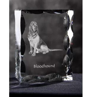 Chien de Saint Hubert, Bloodhound - cristal avec photo de chien, statuette en verre avec photo, cadre exceptionnel avec photo de la marque Art-Dog