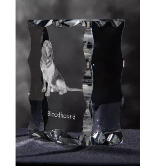 Bloodhound, St. Hubert Hound, Sleuth-hound - crystal with a picture of a dog, glass statuette with a picture, unique frame with a picture from Art-Dog brand
