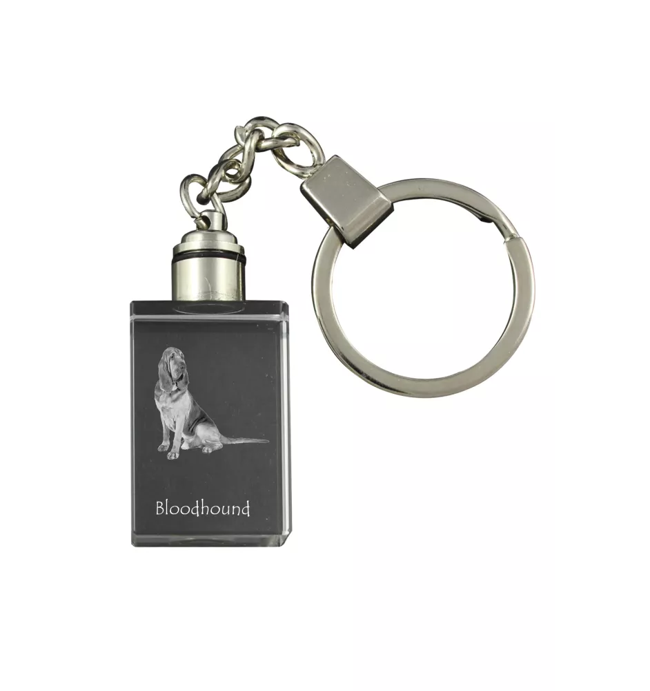 Chien de Saint Hubert, Bloodhound - Porte-clés en cristal avec photo de chien, porte-clés lumineux, cadeau unique de la marque Art-Dog