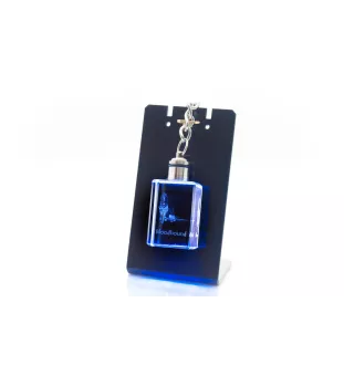 Chien de Saint Hubert, Bloodhound - Porte-clés en cristal avec photo de chien, porte-clés lumineux, cadeau unique de la marque Art-Dog