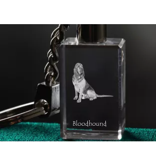 Bluthund, Bloodhound, Chien de St Hubert - Schlüsselanhänger aus Kristall mit Hundefoto, beleuchteter Schlüsselanhänger, einzigartiges Geschenk der Marke Art-Dog